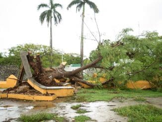 WhatsApp Image 2020 08 16 at 9.19.08 AM