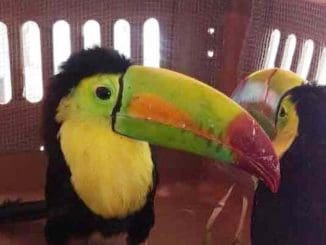 WhatsApp Image 2020 08 23 at 11.55.34 AM