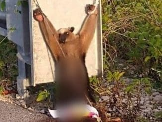 WhatsApp Image 2020 08 27 at 2.58.48 PM