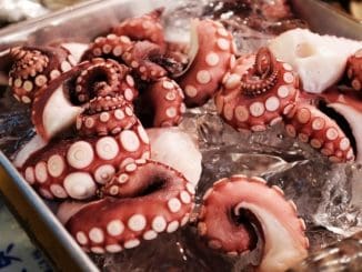 Pulpo