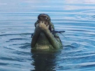 120201552 618885662114485 8922241948939633077 o