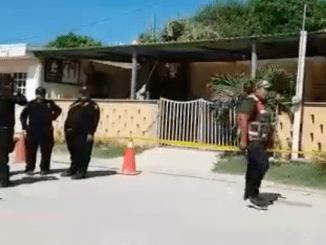 60897194 2329496837271582 433248628346191872 n