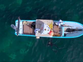 Captura de pantalla 2020 09 20 a la(s) 09.59.29