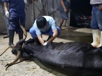 WhatsApp Image 2020 09 03 at 11.53.31 AM