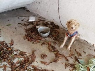 121975128 633155694020815 4873450279837682042 n