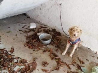 121975128 633155694020815 4873450279837682042 n