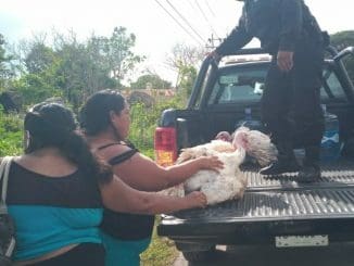 123014863 1724793064364707 5221883202174980882 n