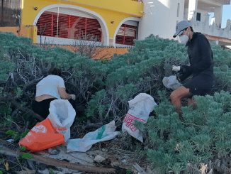 Captura de pantalla 2020 10 17 a la(s) 15.24.45