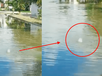 Captura de pantalla 2020 10 18 a la(s) 15.51.39