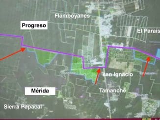 WhatsApp Image 2020 10 01 at 4.02.48 PM