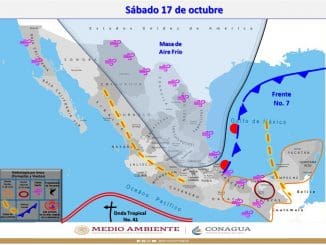 WhatsApp Image 2020 10 17 at 6.55.44 AM