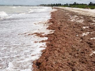 WhatsApp Image 2020 10 25 at 11.44.37 AM (1)