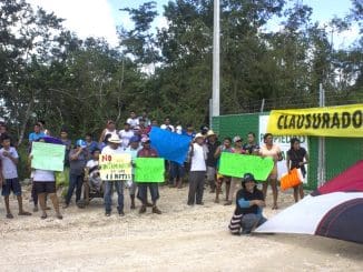 WhatsApp Image 2020 11 05 at 2.45.15 PM