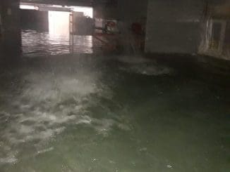 WhatsApp Image 2020 11 08 at 11.43.18 AM