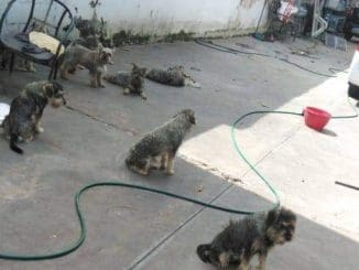 WhatsApp Image 2020 11 11 at 4.31.47 PM