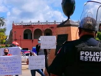 WhatsApp Image 2020 11 16 at 1.35.32 PM