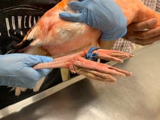 WhatsApp Image 2020 11 21 at 10.51.22 AM