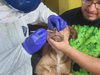 131030259 10158980177824732 5728952612562280333 n