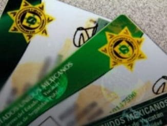 Alertan por fraude en Internet ofrecen ayuda con licencias de conducir