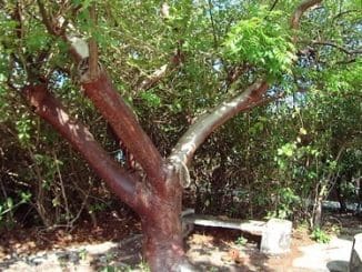 D NQ NP 912532 MLM25952229559 092017 O