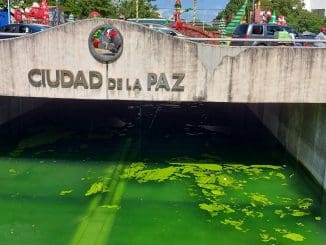 WhatsApp Image 2020 12 03 at 2.27.18 PM