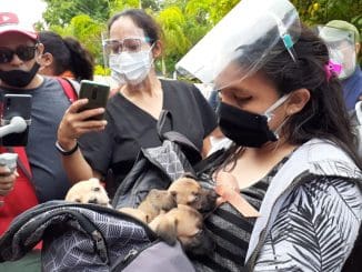 WhatsApp Image 2020 12 18 at 10.46.11 AM