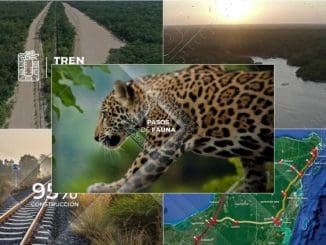 Principal tren maya video