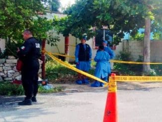 WhatsApp Image 2021 01 16 at 11.03.52 AM