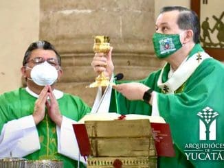 WhatsApp Image 2021 01 17 at 1.08.45 PM