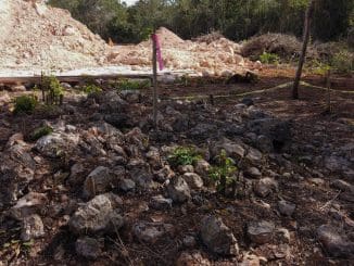 WhatsApp Image 2021 01 18 at 11.49.57 AM (1)