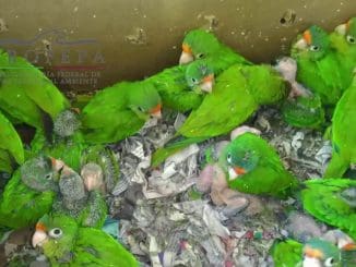 WhatsApp Image 2021 01 22 at 7.25.43 AM