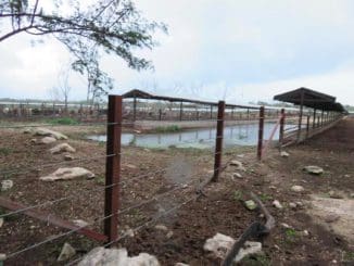 WhatsApp Image 2021 01 24 at 11.33.30 AM