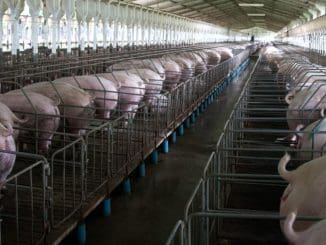 WhatsApp Image 2021 01 29 at 6.45.41 AM