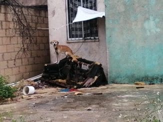 152279573 707214223281628 7440310169011690241 o