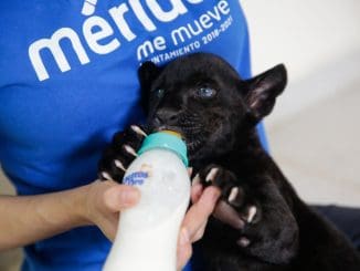 WhatsApp Image 2021 02 01 at 4.35.13 PM