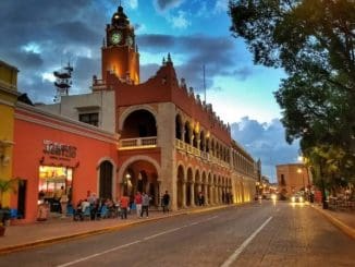 WhatsApp Image 2021 02 03 at 2.31.07 PM