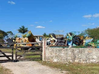 WhatsApp Image 2021 02 09 at 8.42.39 AM