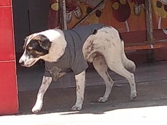 IMG 20210223 130634026 BURST001