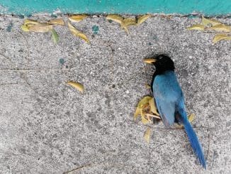 WhatsApp Image 2021 03 04 at 7.15.47 AM (2)