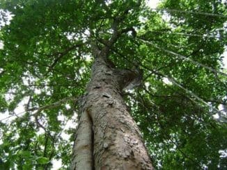 WhatsApp Image 2021 03 07 at 8.47.12 AM