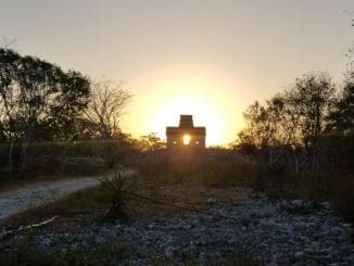 WhatsApp Image 2021 03 21 at 12.48.04 PM