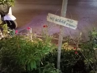 WhatsApp Image 2021 03 22 at 7.26.25 AM