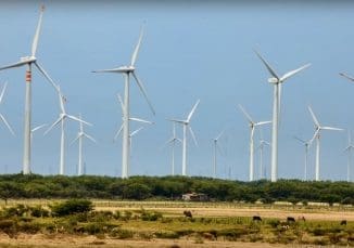 Mexico dzilam bravo (1)