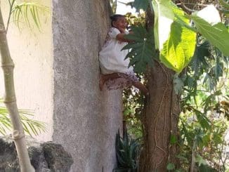 167079170 728302797839437 2759235256124918999 n