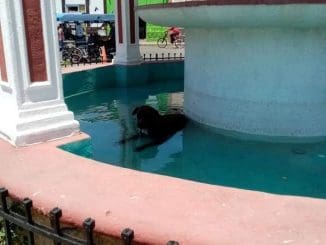 174844229 737195373616846 53486496506393045 n