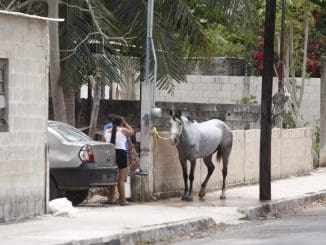 WhatsApp Image 2021 04 07 at 7.53.54 PM