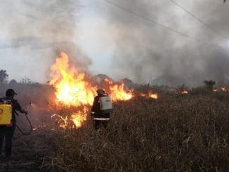 WhatsApp Image 2021 04 07 at 8.31.39 AM