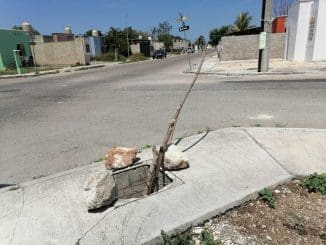 WhatsApp Image 2021 04 17 at 9.51.39 AM