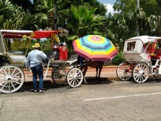 WhatsApp Image 2021 04 22 at 8.02.02 AM