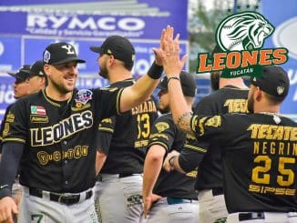 Conoce a los leones de